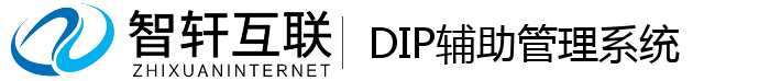 DIP辅助管理系统